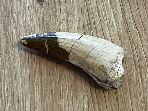 Schöner großer