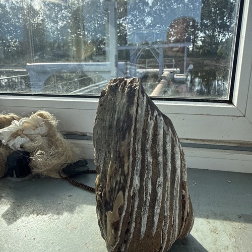 Fossile mamutzahn 2 kg - mamutzahn, 1,2